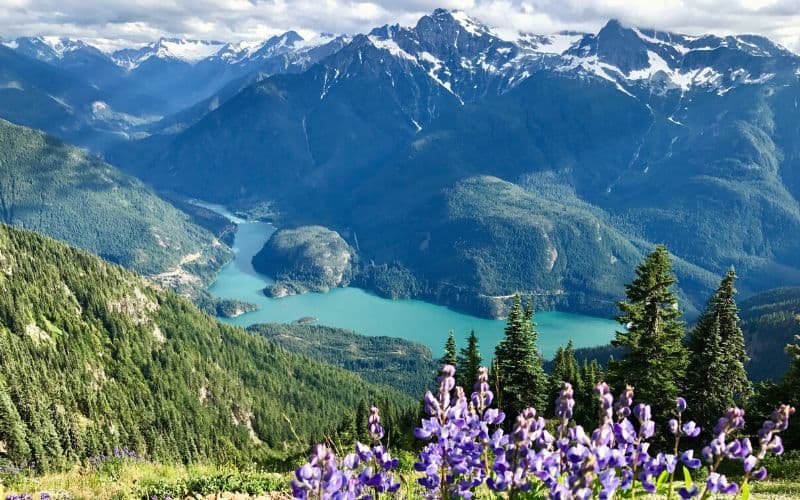 Sourdough Mountain, North Cascades National Park, Washington 