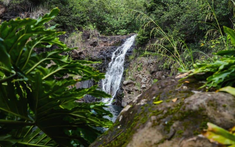 Waimea Falls In Oahu Hawaii