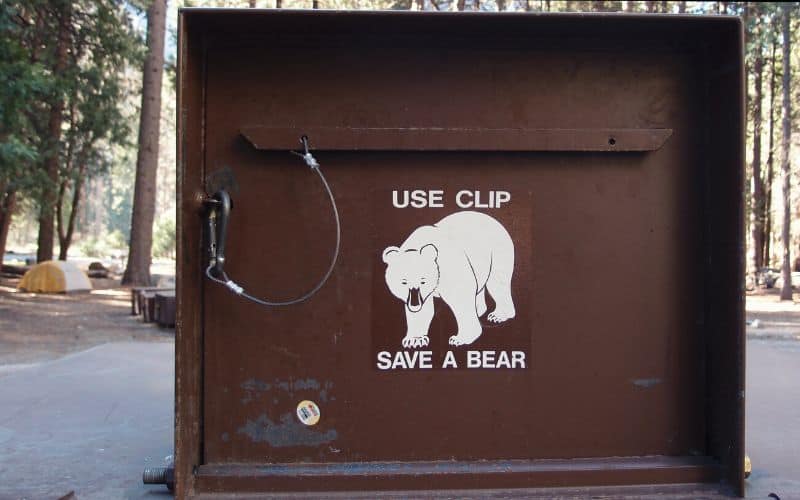 Bear-proof dumpster in a Yosemite campsite