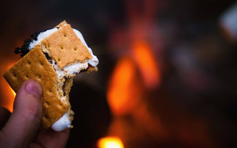 Camper holding a half eaten s'more in front of a campfire 