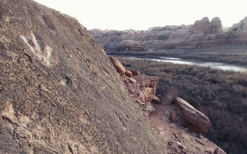 Dinosaur Tracks Trail, Moab, Utah