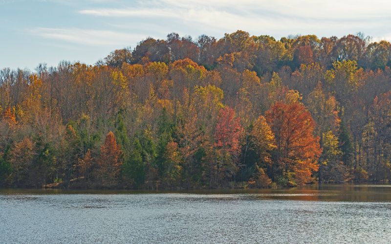 Ferne Clyffe State Park, Illinois