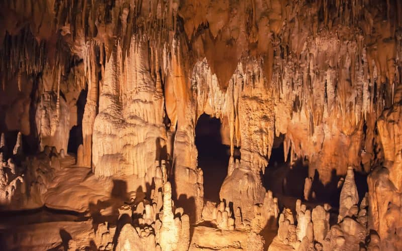 Florida Caverns State Park, Florida 