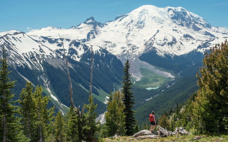 Hiker in front of mountain in Mount Rainier National Park, Washington