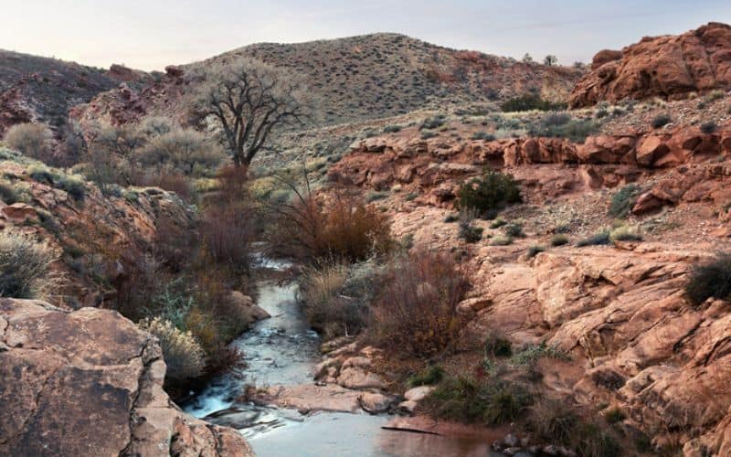 Mill Creek Trail, Moab, Utah