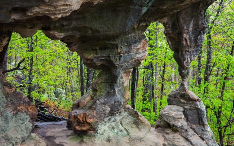 Pickle Springs Natural Area, Missouri