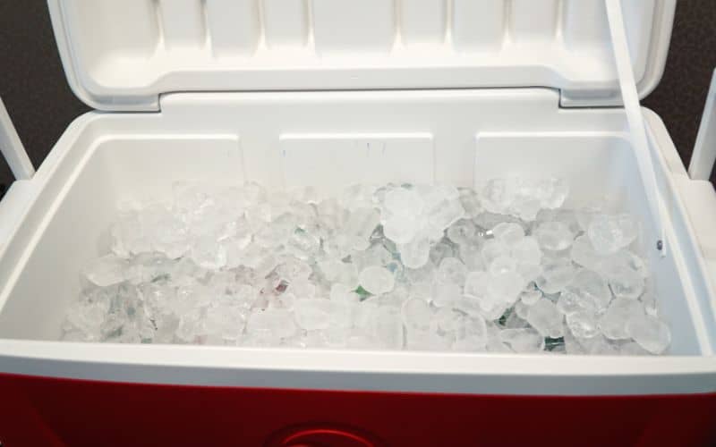 Regular ice cubes inside of cooler