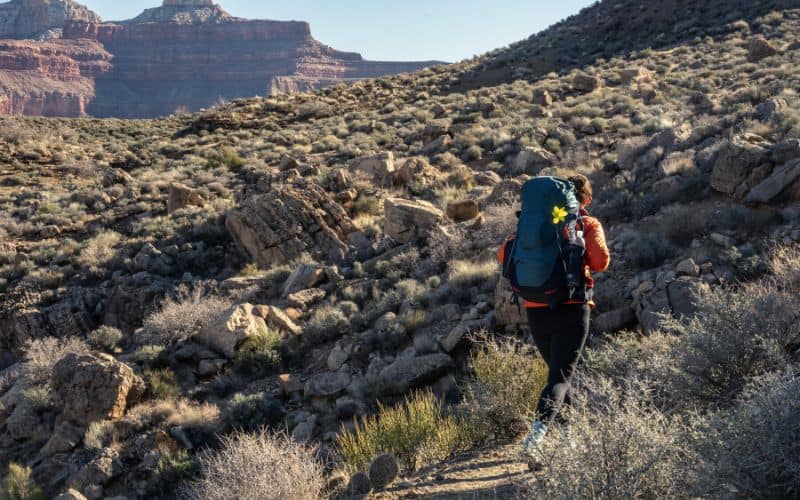 Solo hiker on the Tonto Trail in the Grand Canyon