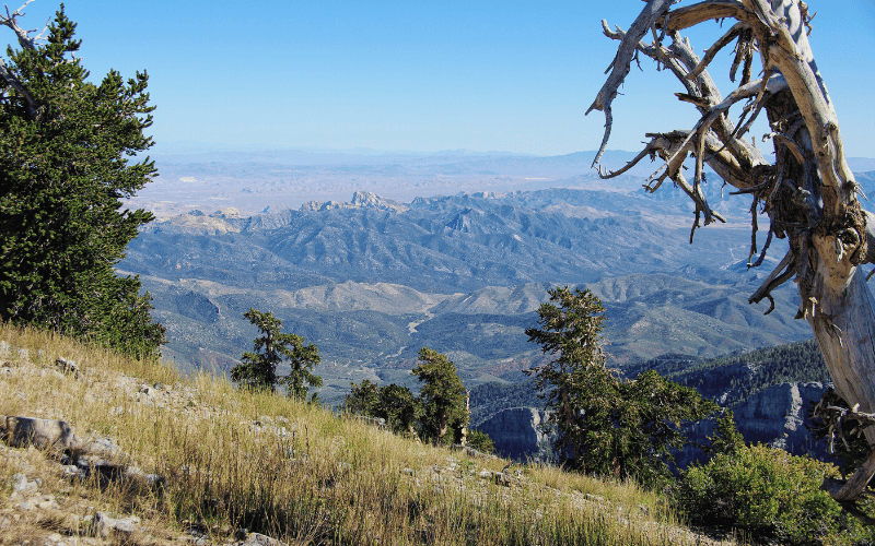 Spring Mountains National Recreation Area, Nevada