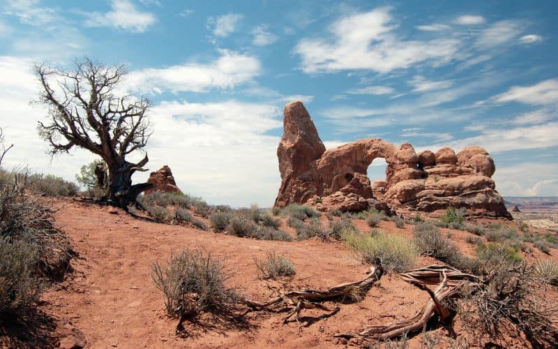 Windows Loop Trail & Turret Arch Trail, Arches National Park, Moab, Utah