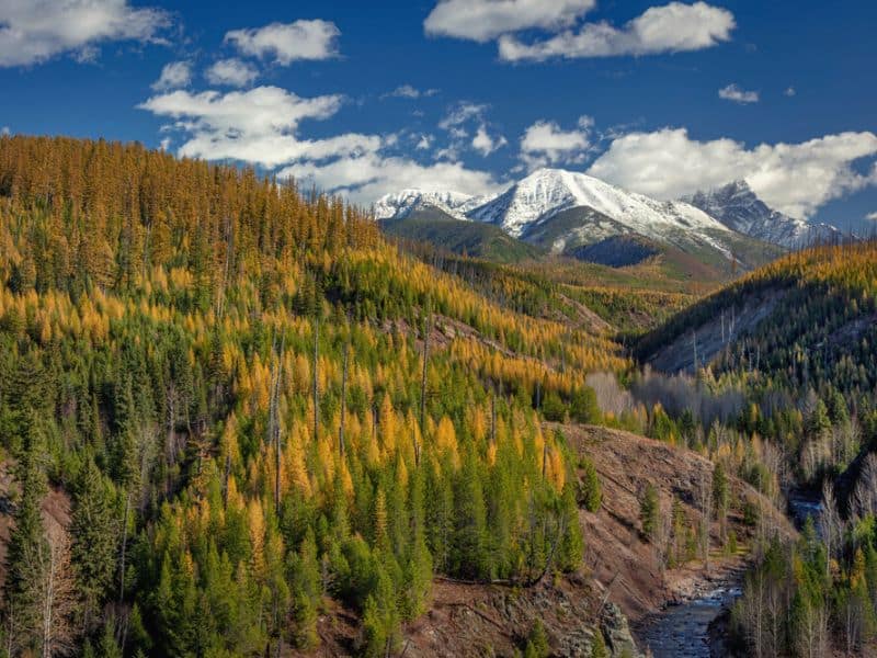 Pinchot Creek with Threesuns and Eaglehead Mountains in Glacier National Park, Montana