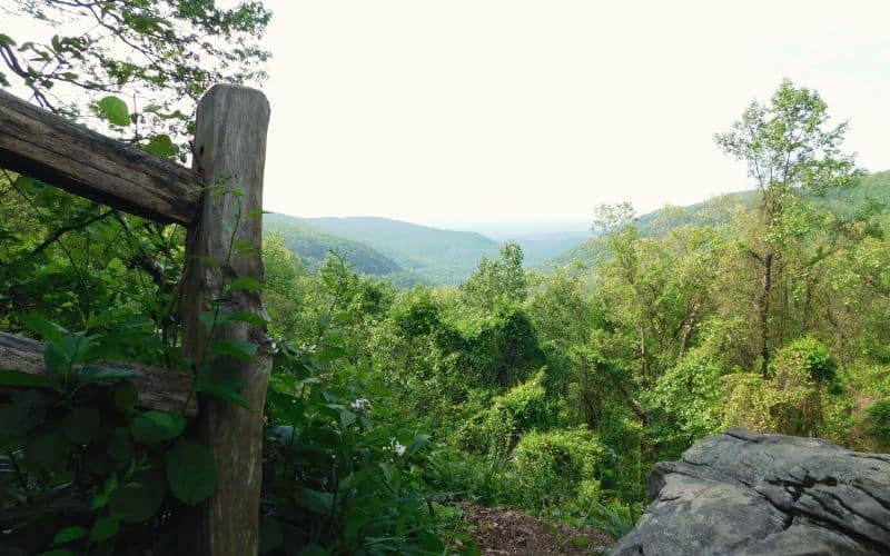 Springer Mountain, Georgia