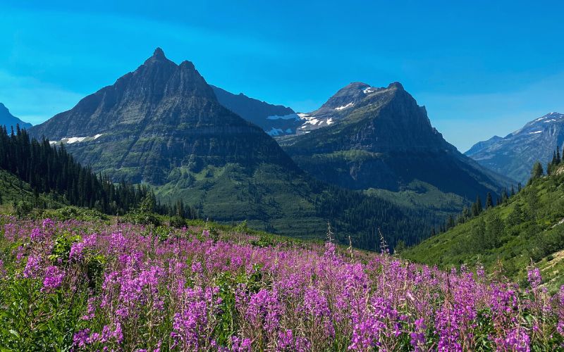 Summer day in Glacier National Park, Montana