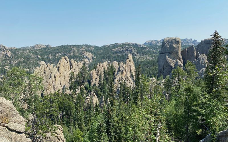 Sunday Gulch Trail Overlook, Custer State Park, South Dakota