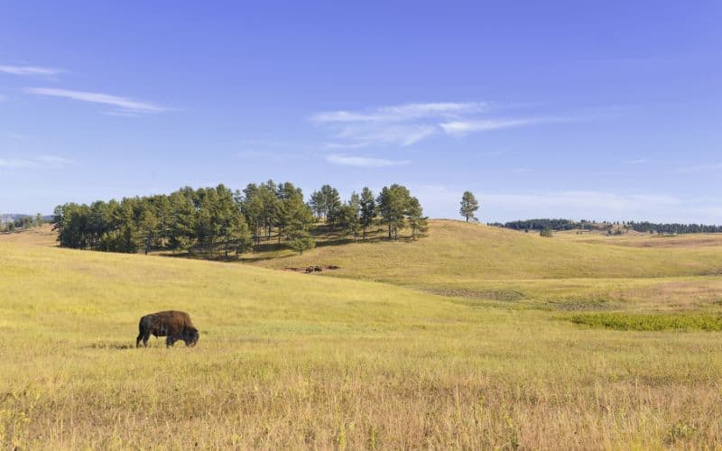 Wind Cave National Park, South Dakota