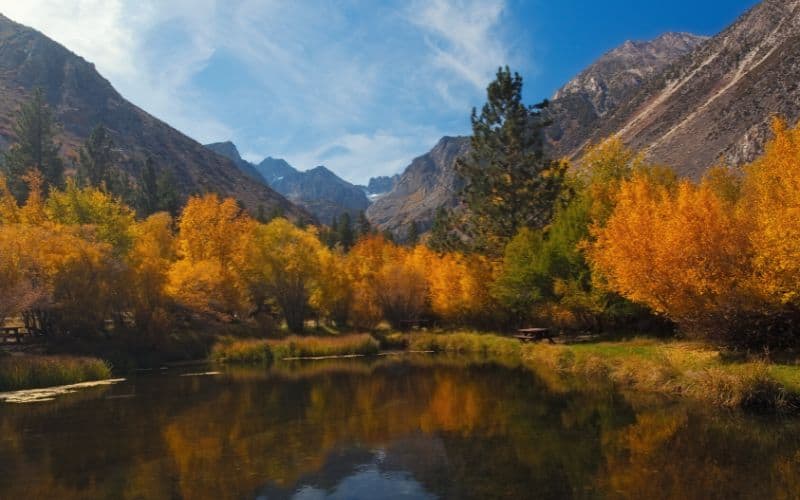 Big Pine Canyon,  Inyo National Forest, California