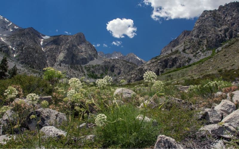 Near Palisades glacier at Big Pine Lakes, California 