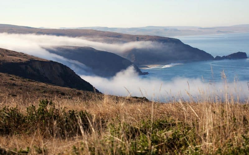 Point Reyes Coastal Loop, Point Reyes National Seashore, California 
