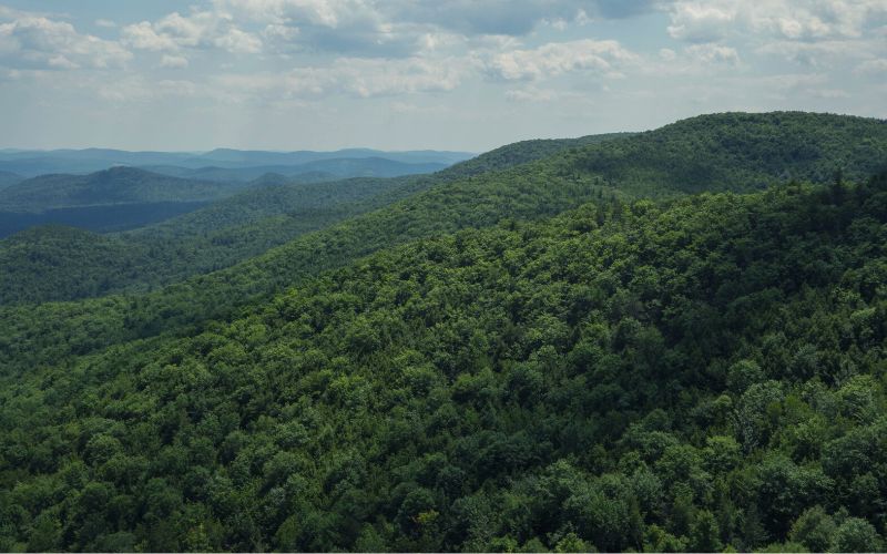 Burnt Meadow Mountain Trail