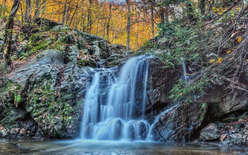 Cascade Falls Loop Trail, Patapsco Valley State Park, Maryland 