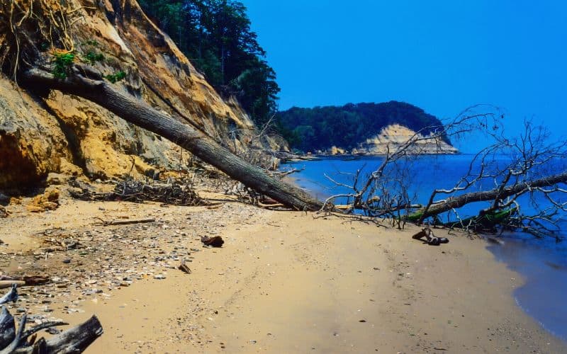 Chesapeake Bay, Red Trail, Calvert Cliffs State Park, Maryland