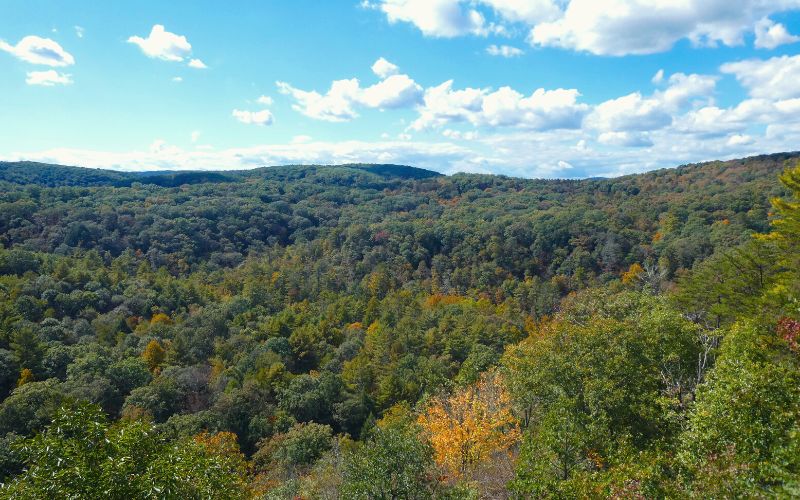 Green Ridge State Forest, Maryland