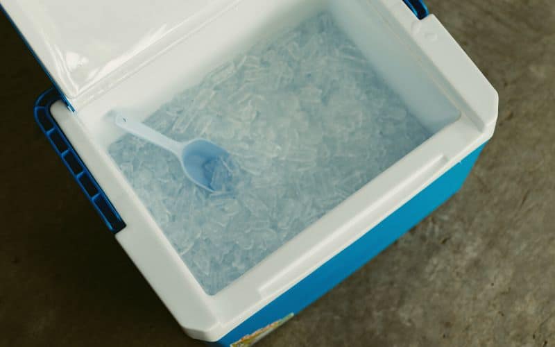 Melted ice in a cooler box