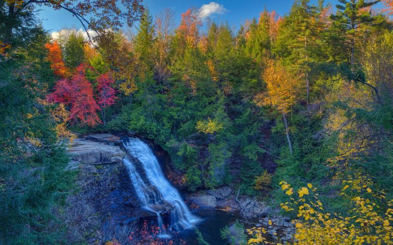 Muddy Creek Falls, Swallow Falls Canyon Trail, Swallow Falls State Park, Maryland